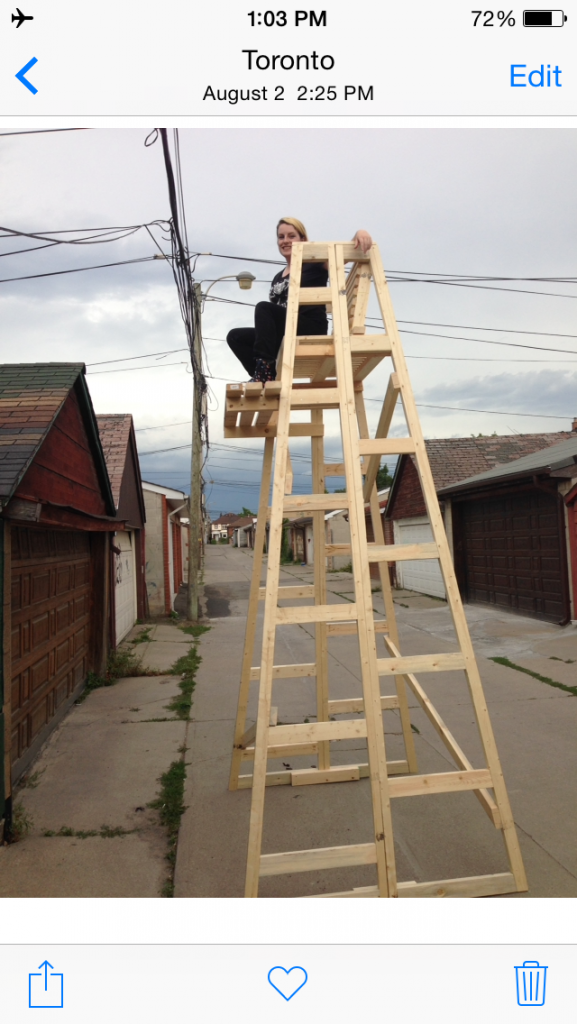 To construct a lifeguard chair, you must first invent the photograph.