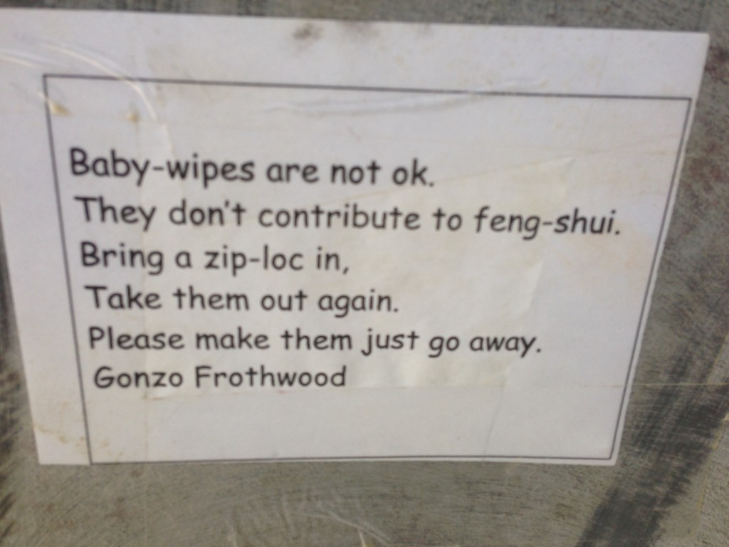 A commentary about baby wipes in a portapotty context.  Also, I'm about 90% sure that 'Gonzo Frothwood' is a pseudonym.