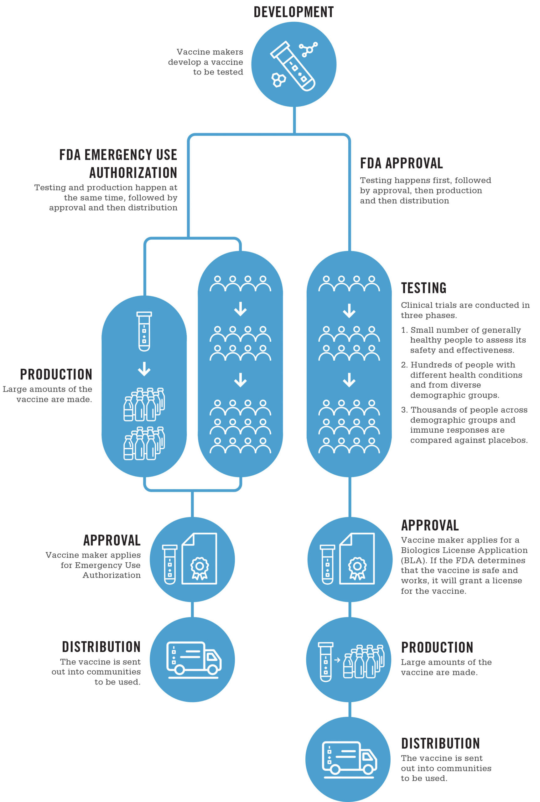 Infographic from UNC Healthcare showing the FDA vaccine approval process, and how it differs under an 'Emergency Use Authorization'